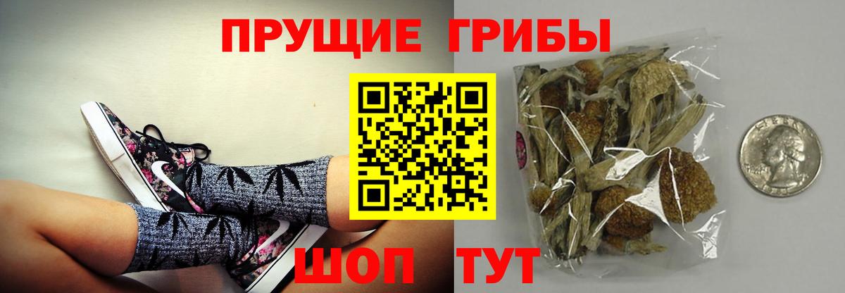 Псилоцибиновые грибы мицелий  Вход с VPN  Псилоцибиновые грибы MAGIC MUSHROOMS  Екатеринбург 